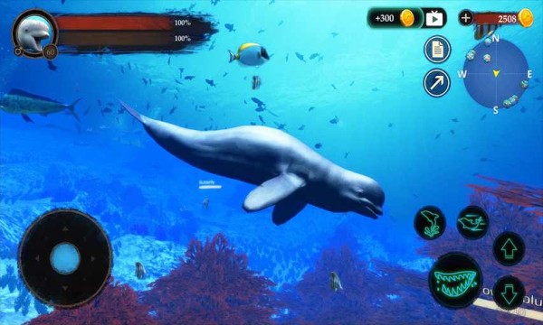 白鲸模拟器破解版游戏